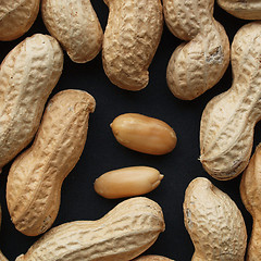 Image showing Peanut picture