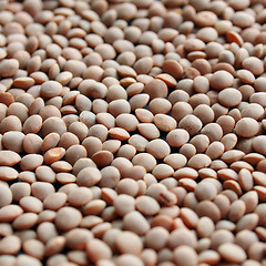 Image showing Lentils