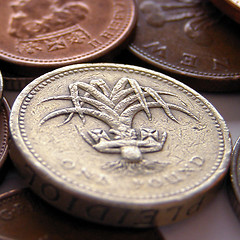 Image showing Pounds