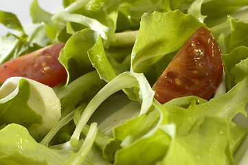 Image showing salad