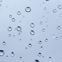 Image showing Rain droplets