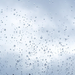 Image showing Rain droplets