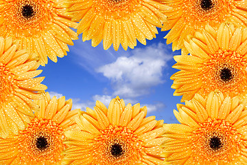 Image showing Bright Daisy Frame
