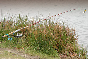 Image showing Fishing