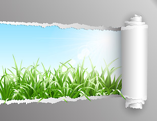 Image showing Torn paper with grass background.