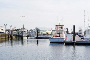 Image showing Marina