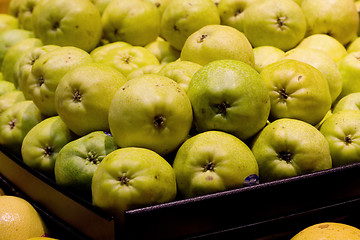 Image showing Pears