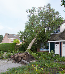 Image showing LEEUWARDEN, NETHERLANDS, OKTOBER 28, 2013: Massive storm hit the