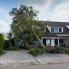 Image showing LEEUWARDEN, NETHERLANDS, OKTOBER 28, 2013: Massive storm hit the