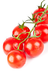Image showing fresh organic cherry tomatoes
