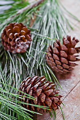 Image showing christmas fir tree with pinecones 