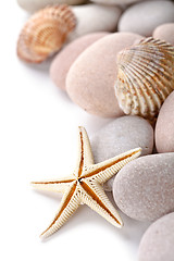 Image showing pile of stones, shells and sea star