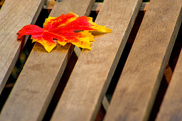 Image showing leaf on a garden chair