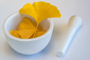 Image showing Ginkgo, chinese medicine