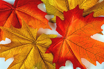 Image showing Autumnal leaves