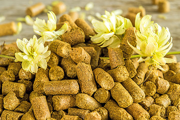 Image showing hops pellets