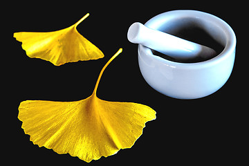 Image showing Ginkgo, chinese medicine