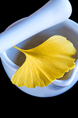 Image showing Ginkgo, chinese medicine