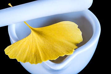 Image showing Ginkgo, chinese medicine