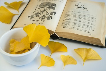 Image showing Ginkgo, chinese medicine