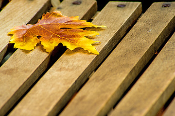 Image showing leaf on a garden chair