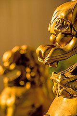 Image showing Feng shui lion