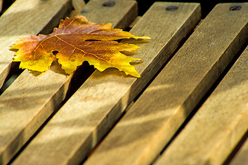 Image showing leaf on a garden chair