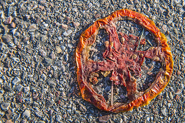 Image showing apple skeleton on a street