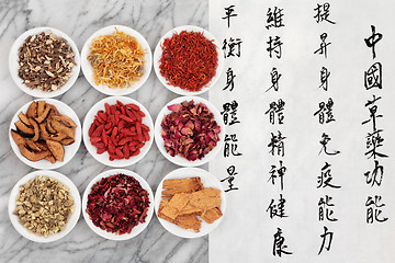 Image showing Chinese Herbal Medicine