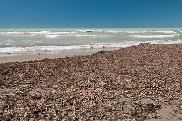 Image showing Uncleared beach in low season, Italy