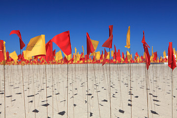 Image showing Sculpture by the Sea exhibit at Bondi Australia