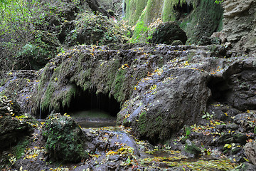 Image showing Grotto in the Rock Near Krushuna Village