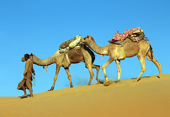 Image showing camels in desert