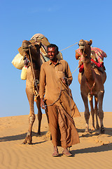 Image showing camels in desert