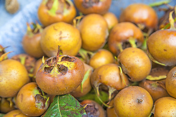 Image showing Medlar, old fruit