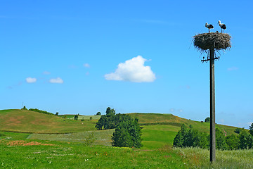 Image showing Polish summer landscape