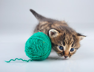 Image showing little kitten playing with a ball