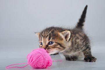 Image showing little kitten playing with a woolball