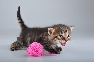 Image showing funny little kitten playing with a woolball