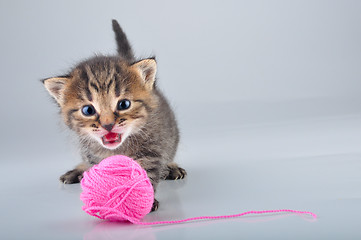 Image showing little kitten playing with a woolball