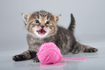 Image showing little kitten playing with a woolball