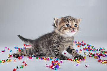 Image showing little kitten with small metal jingle bells beads