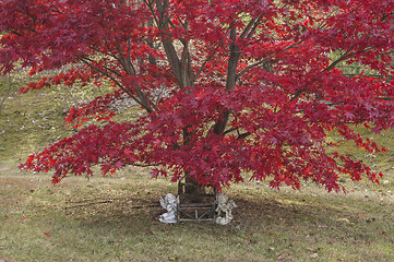 Image showing Autumn Cherubs