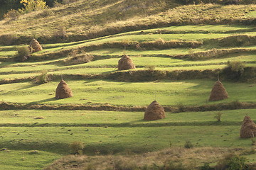 Image showing old traditional hay stacks