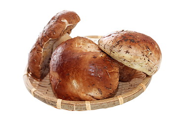 Image showing porcini mushrooms on wicker plate