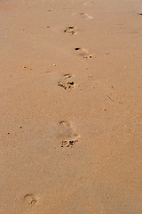 Image showing Trace of a bare foot of the person on sand