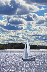 Image showing River landscape