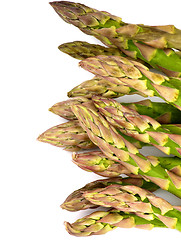 Image showing Asparagus Sprouts