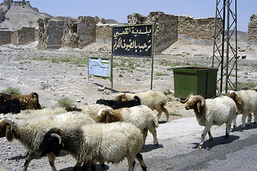 Image showing Street scene in Northern Syria, at the Euphrates