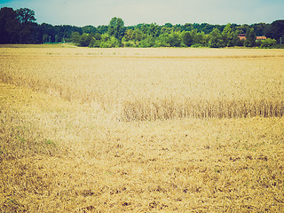 Image showing Retro look Harvest picture